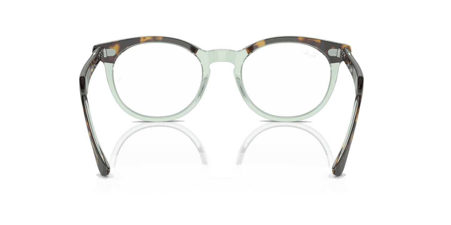 [Clear Lenses, Polished Havana On Transparent Green Frame]