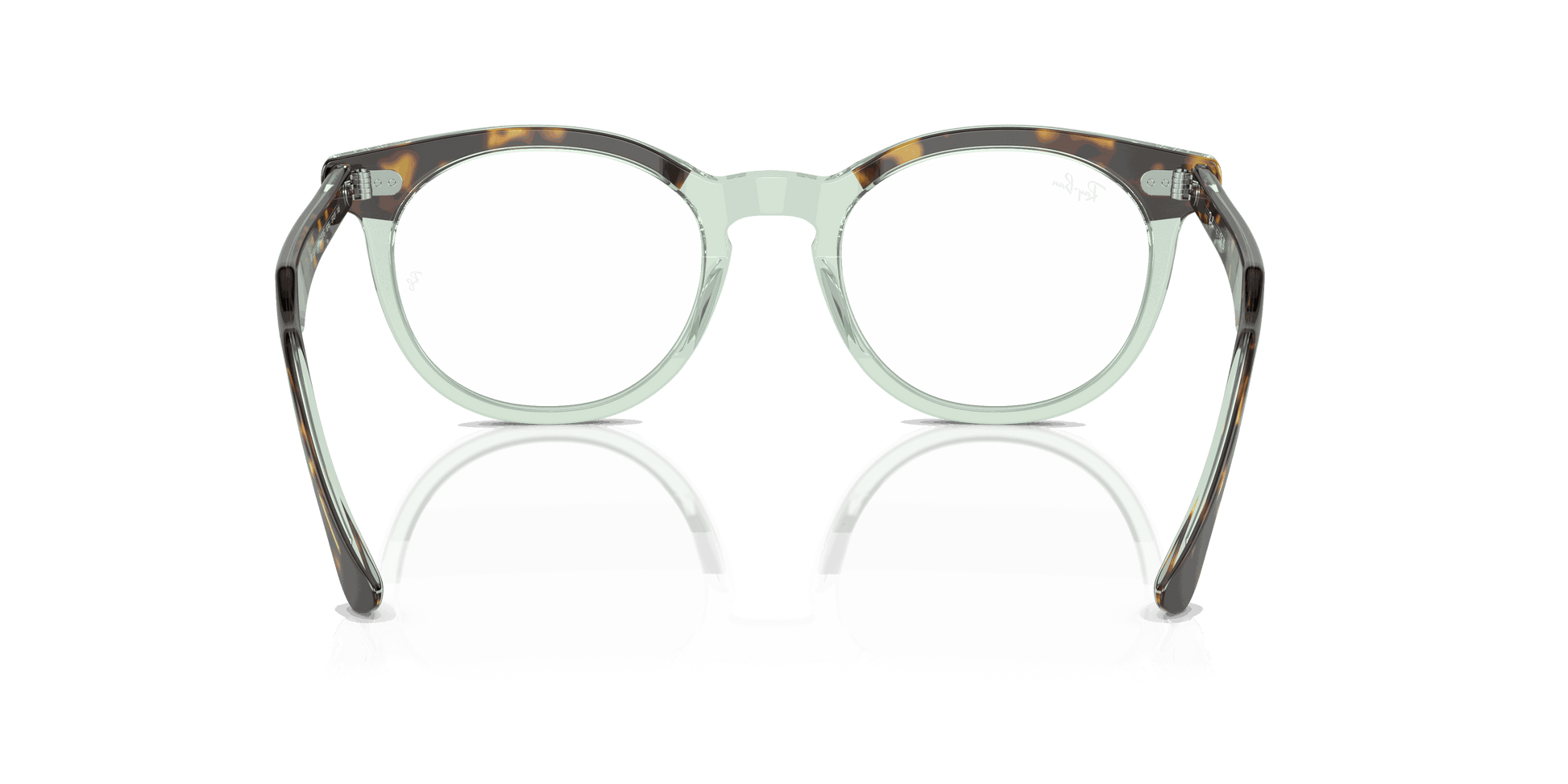 [Clear Lenses, Polished Havana On Transparent Green Frame]