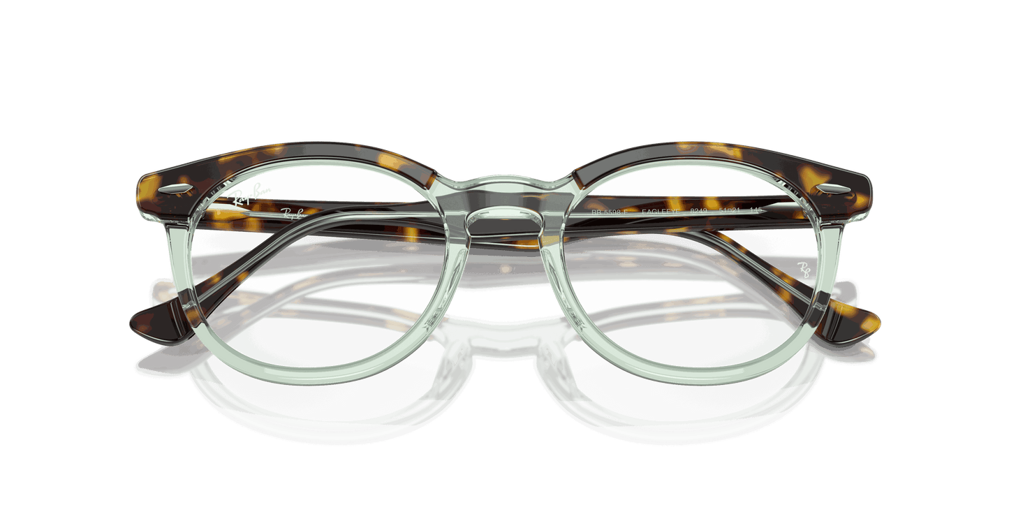 [Clear Lenses, Polished Havana On Transparent Green Frame]