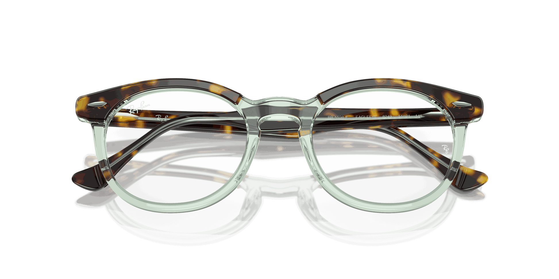 [Clear Lenses, Polished Havana On Transparent Green Frame]