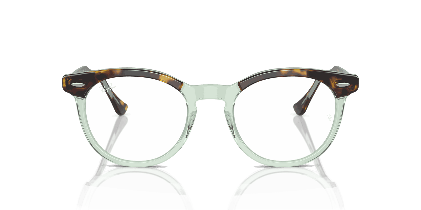 [Clear Lenses, Polished Havana On Transparent Green Frame]