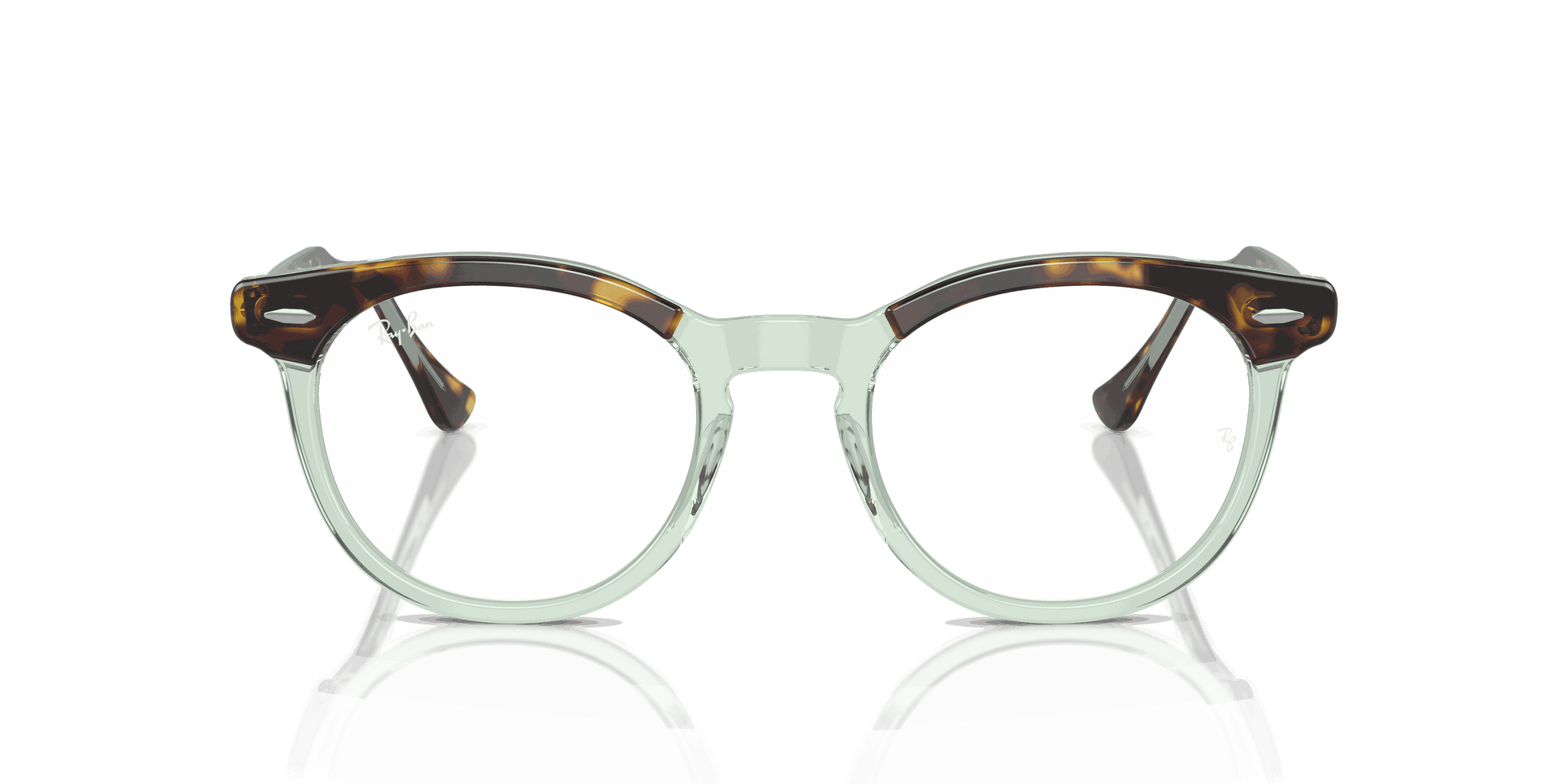 [Clear Lenses, Polished Havana On Transparent Green Frame]