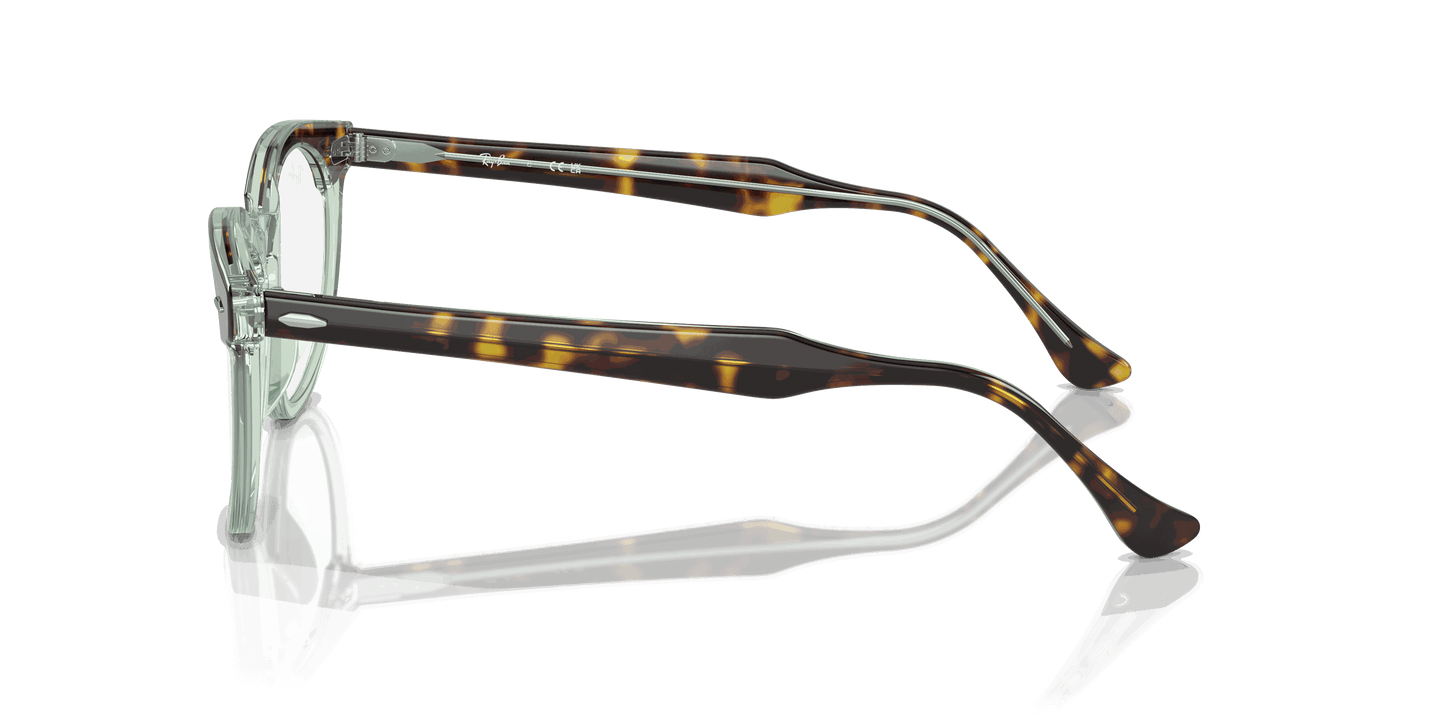 [Clear Lenses, Polished Havana On Transparent Green Frame]