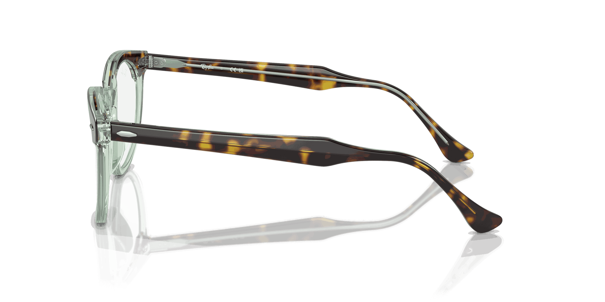 [Clear Lenses, Polished Havana On Transparent Green Frame]