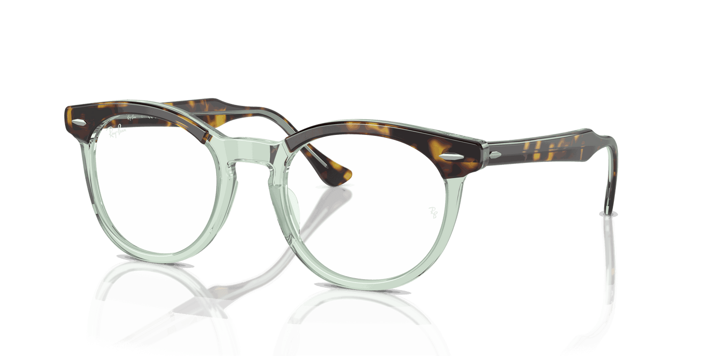 [Clear Lenses, Polished Havana On Transparent Green Frame]