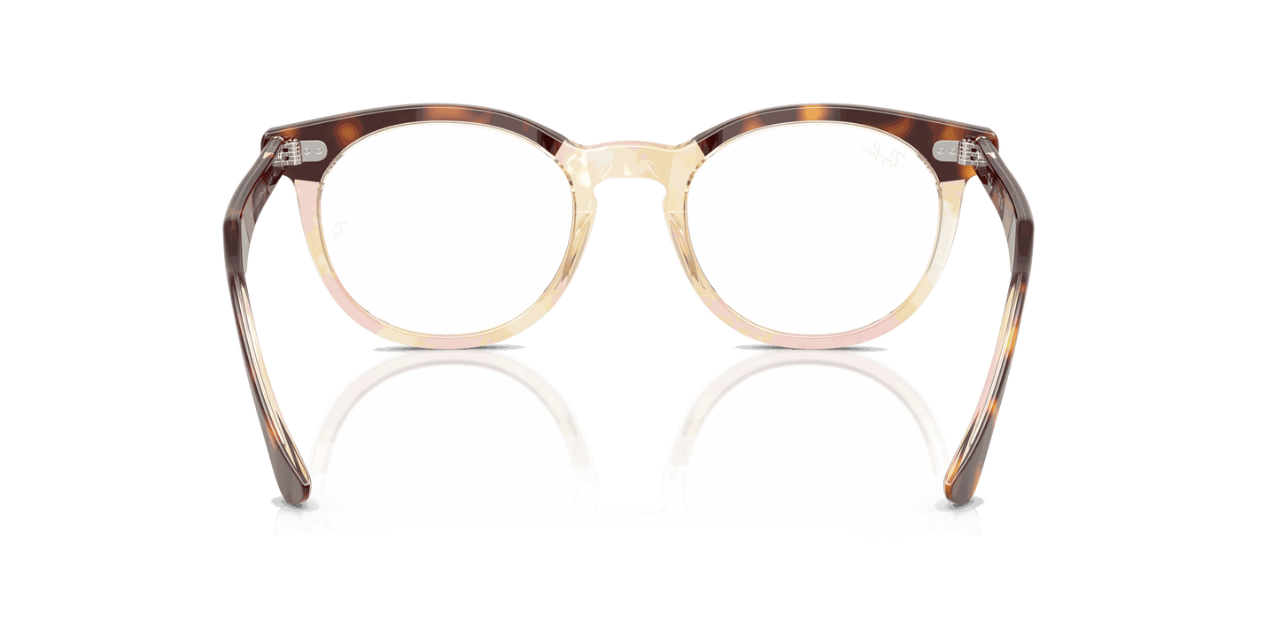 [Clear Lenses, Polished Light Havana On Multicolor Frame]