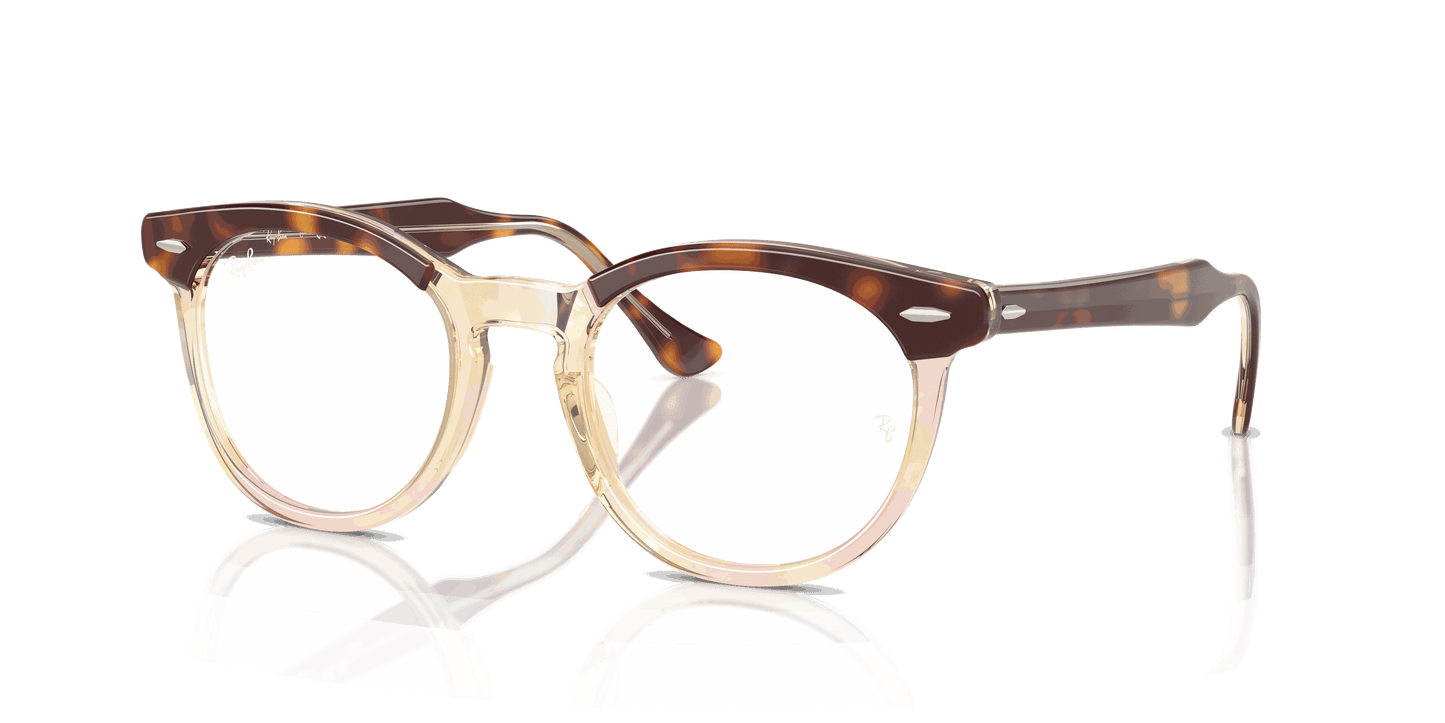 [Clear Lenses, Polished Light Havana On Multicolor Frame]