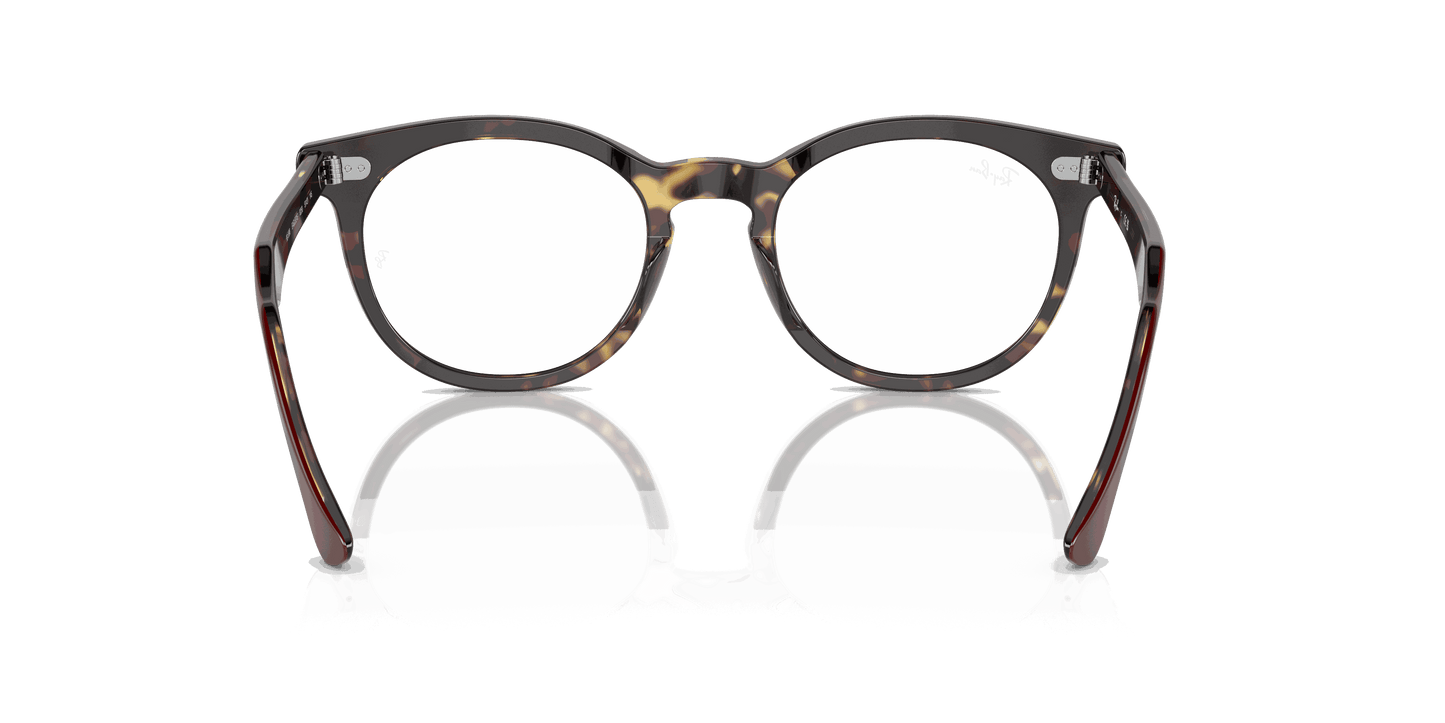 [Clear Lenses, Polished Bordeaux On Yellow Havana Frame]