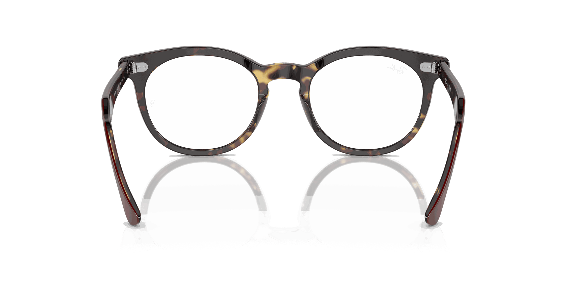 [Clear Lenses, Polished Bordeaux On Yellow Havana Frame]