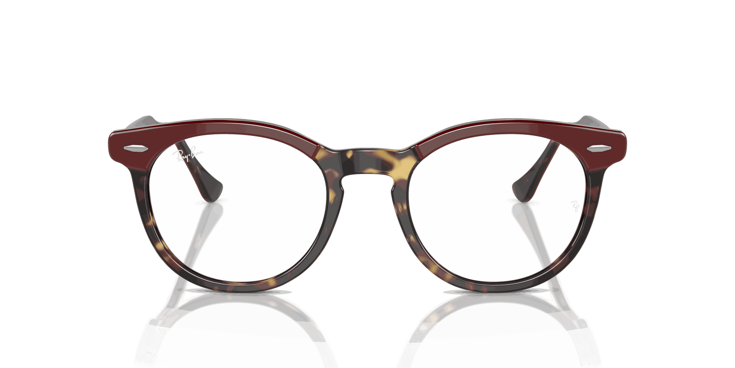 [Clear Lenses, Polished Bordeaux On Yellow Havana Frame]