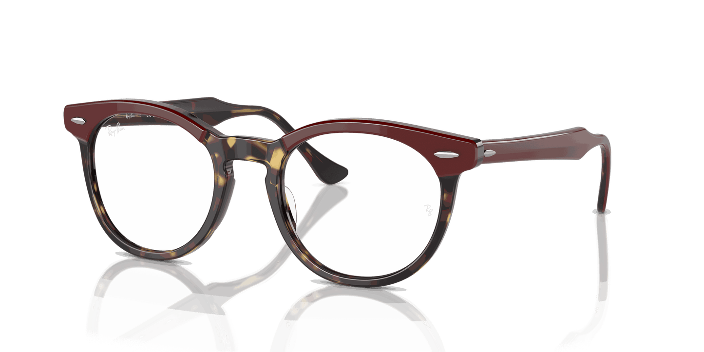 [Clear Lenses, Polished Bordeaux On Yellow Havana Frame]