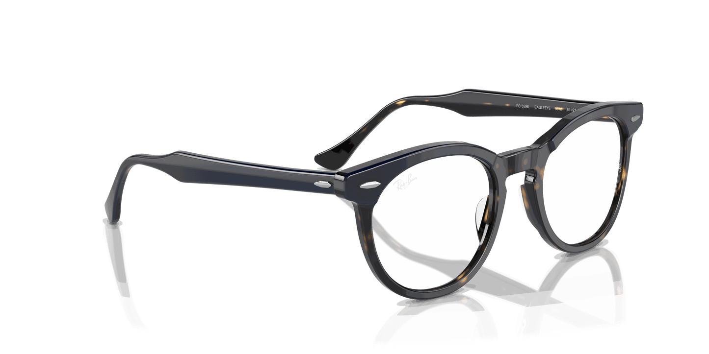 [Clear Lenses, Polished Blue On Havana Frame]