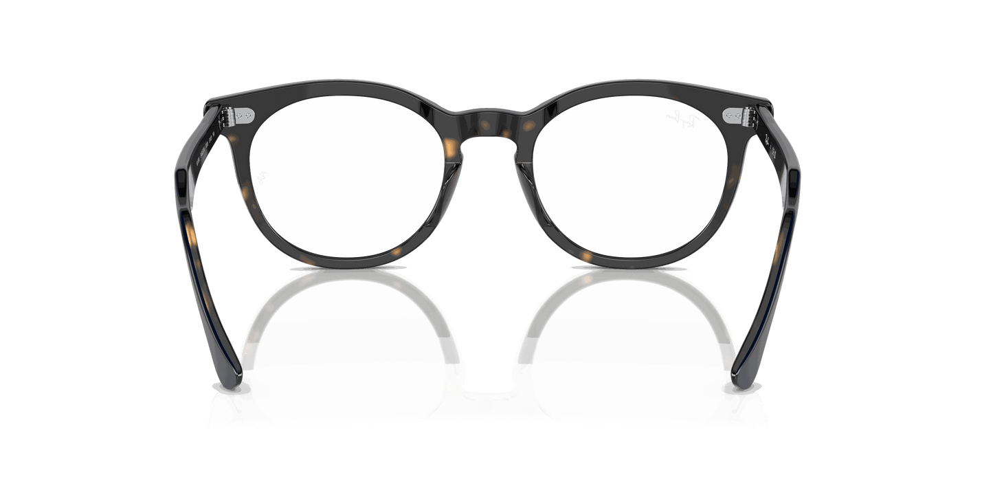[Clear Lenses, Polished Blue On Havana Frame]