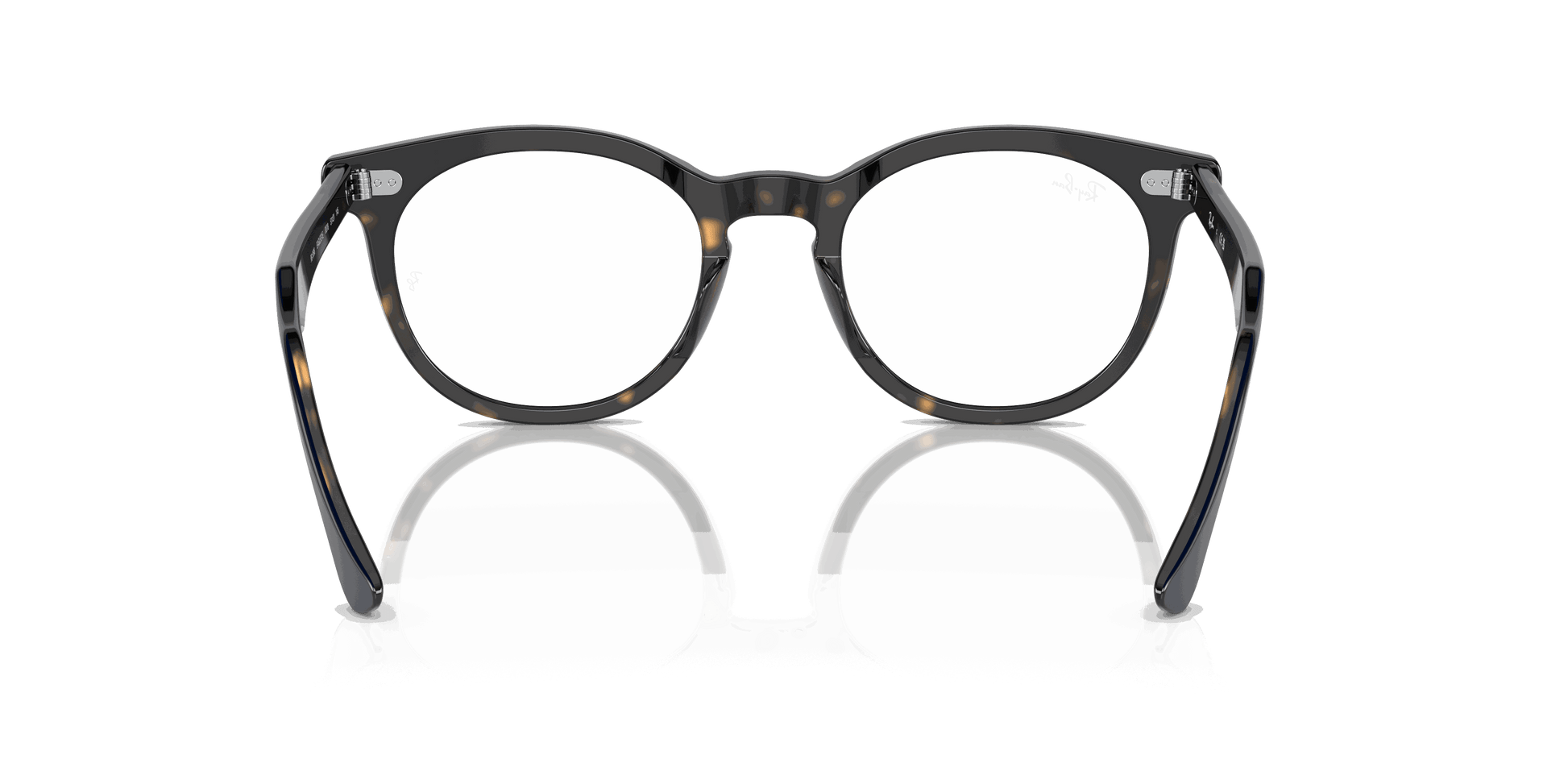 [Clear Lenses, Polished Blue On Havana Frame]