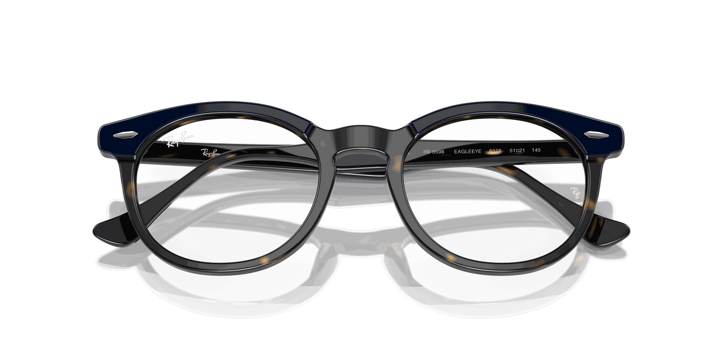 [Clear Lenses, Polished Blue On Havana Frame]