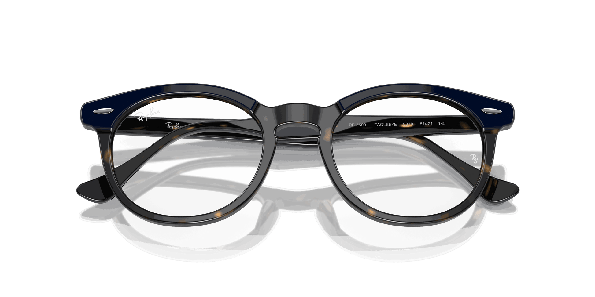 [Clear Lenses, Polished Blue On Havana Frame]