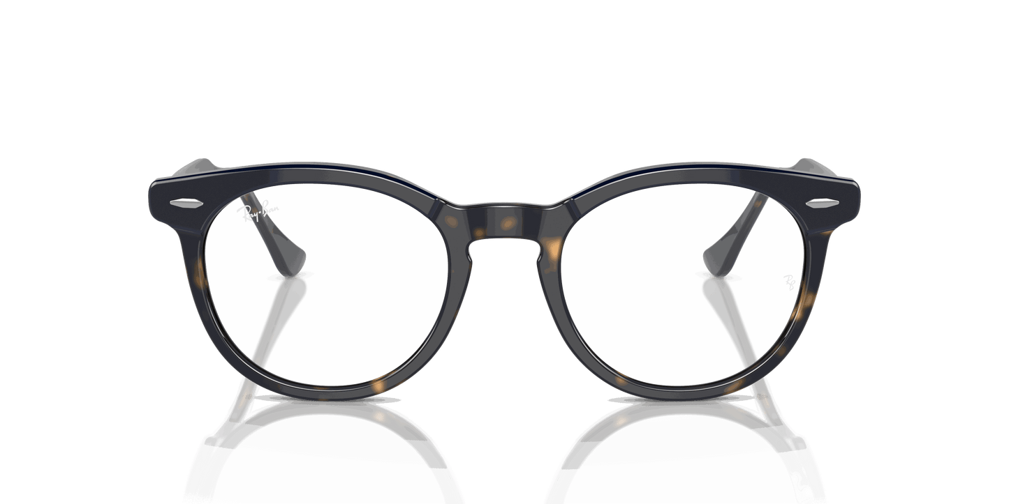 [Clear Lenses, Polished Blue On Havana Frame]