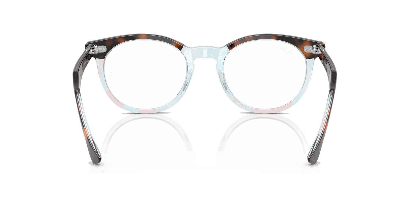 [Clear Lenses, Polished Dark Havana On Multicolor Frame]