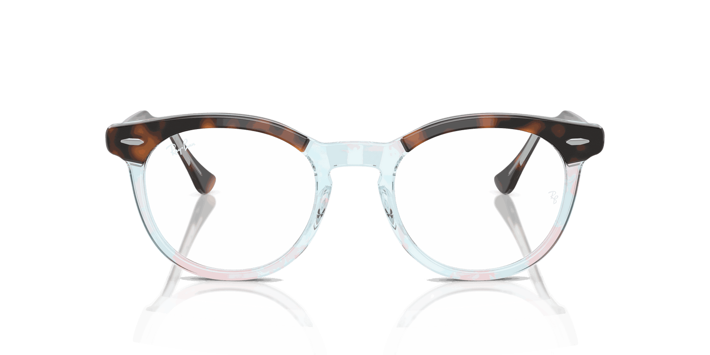 [Clear Lenses, Polished Dark Havana On Multicolor Frame]