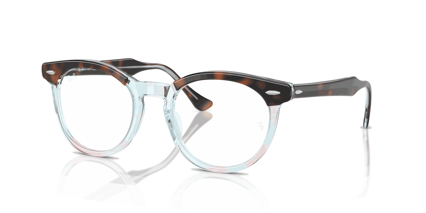 [Clear Lenses, Polished Dark Havana On Multicolor Frame]