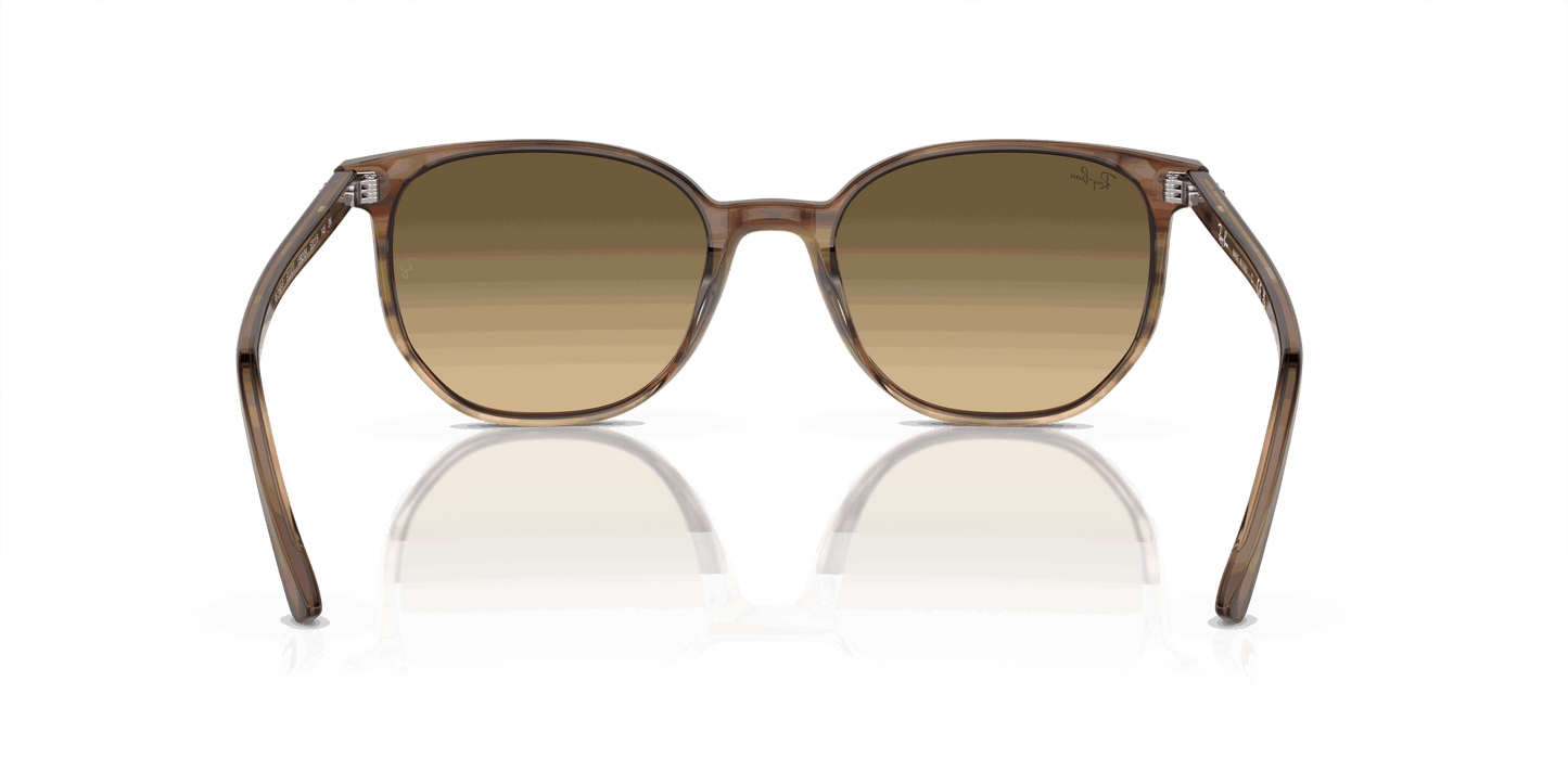 [Brown & Black Lenses, Polished Striped Brown & Green Frame]