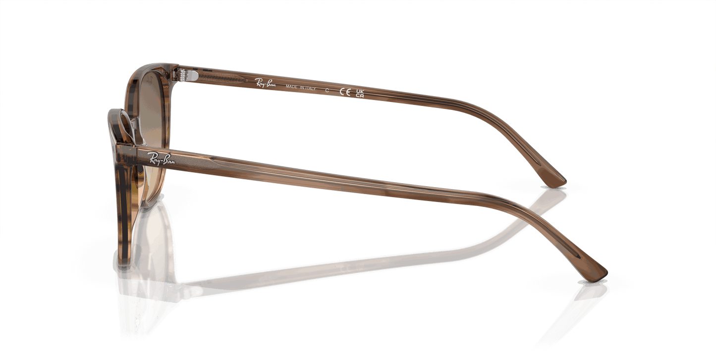 [Brown & Black Lenses, Polished Striped Brown & Green Frame]