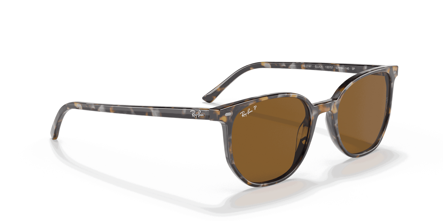 [B-15 Brown Lenses, Polished Havana Brown Grey Frame]