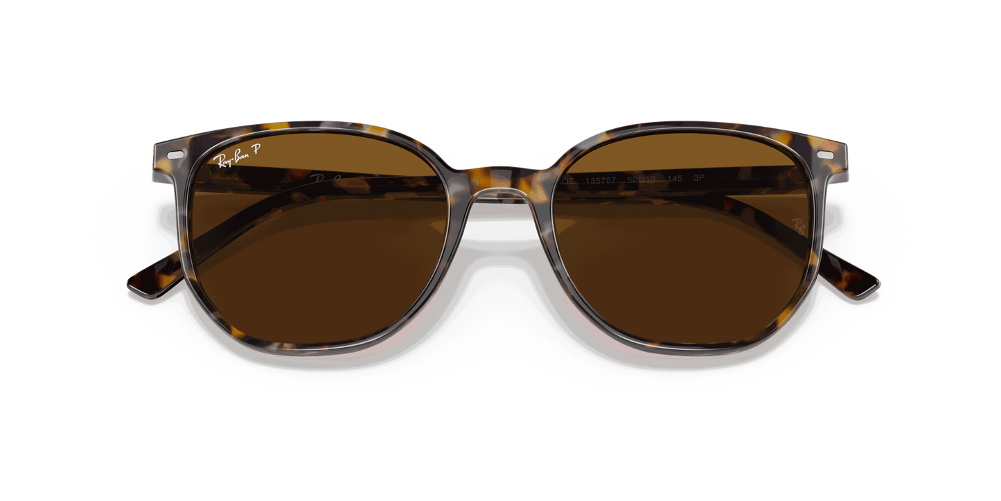 [B-15 Brown Lenses, Polished Havana Brown Grey Frame]