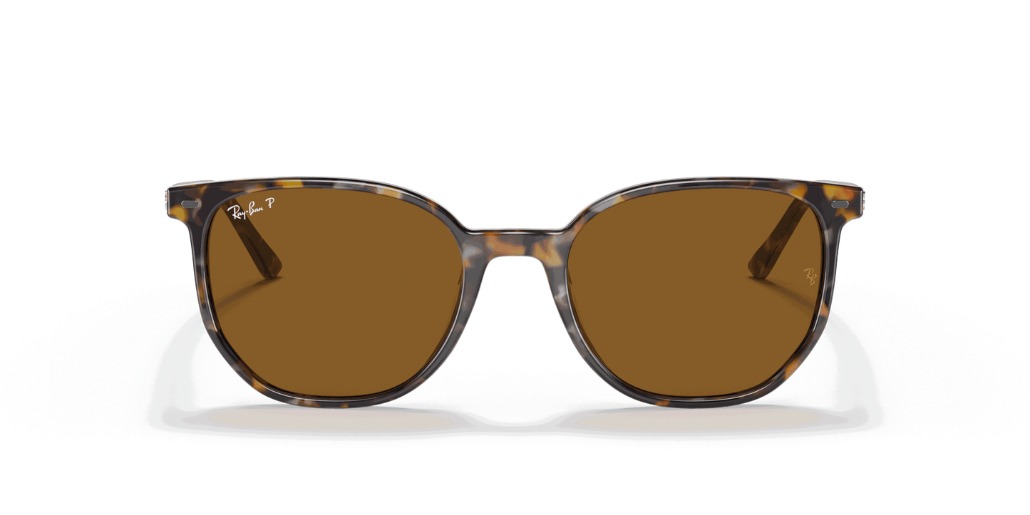 [B-15 Brown Lenses, Polished Havana Brown Grey Frame]