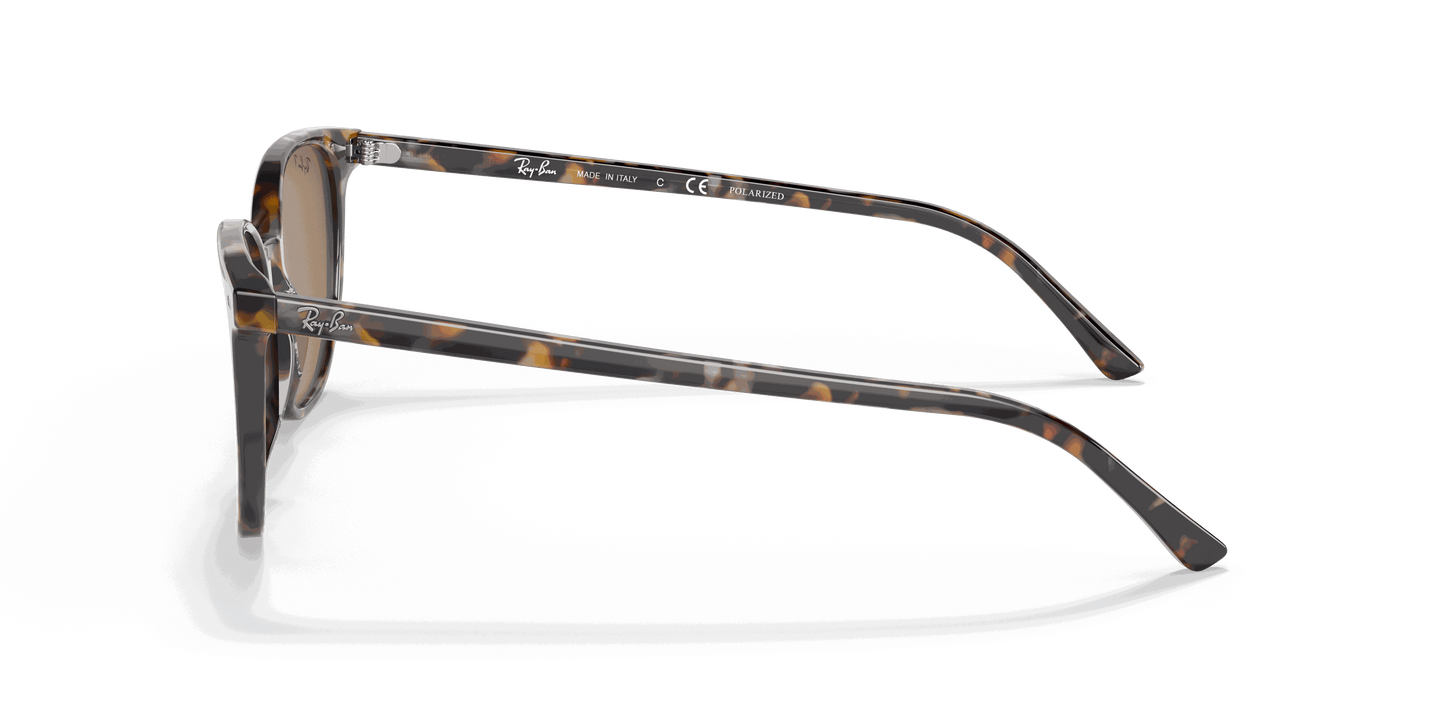 [B-15 Brown Lenses, Polished Havana Brown Grey Frame]