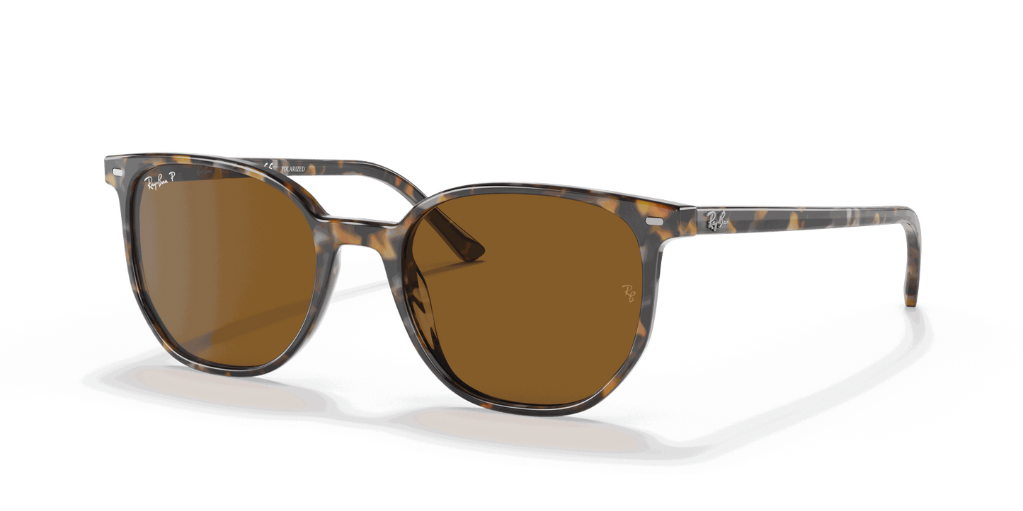 [B-15 Brown Lenses, Polished Havana Brown Grey Frame]