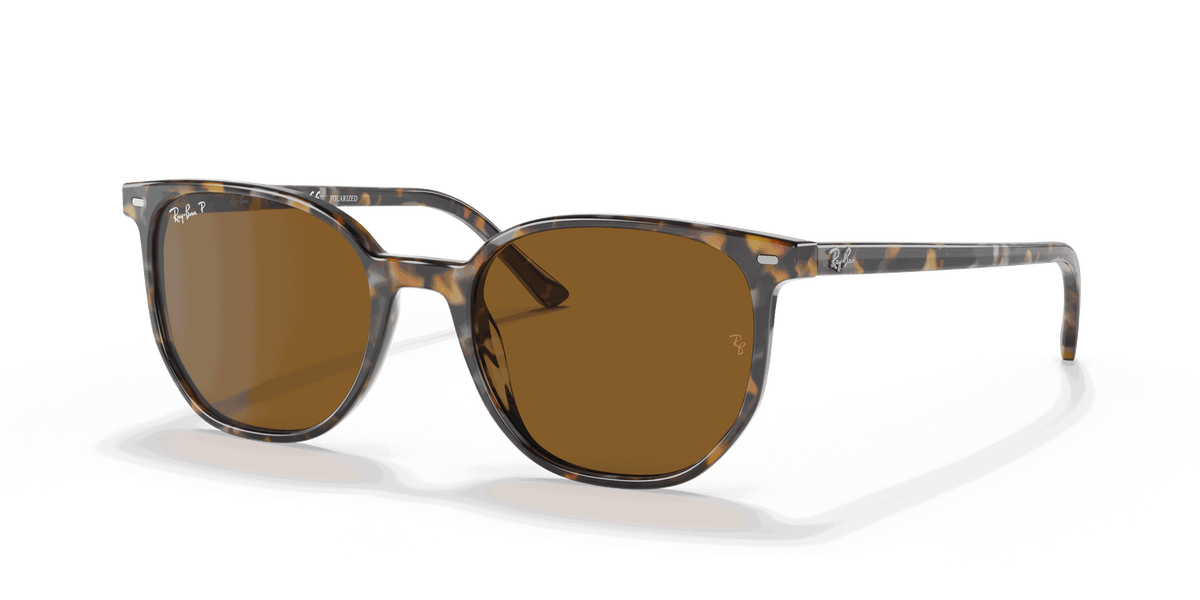 [B-15 Brown Lenses, Polished Havana Brown Grey Frame]