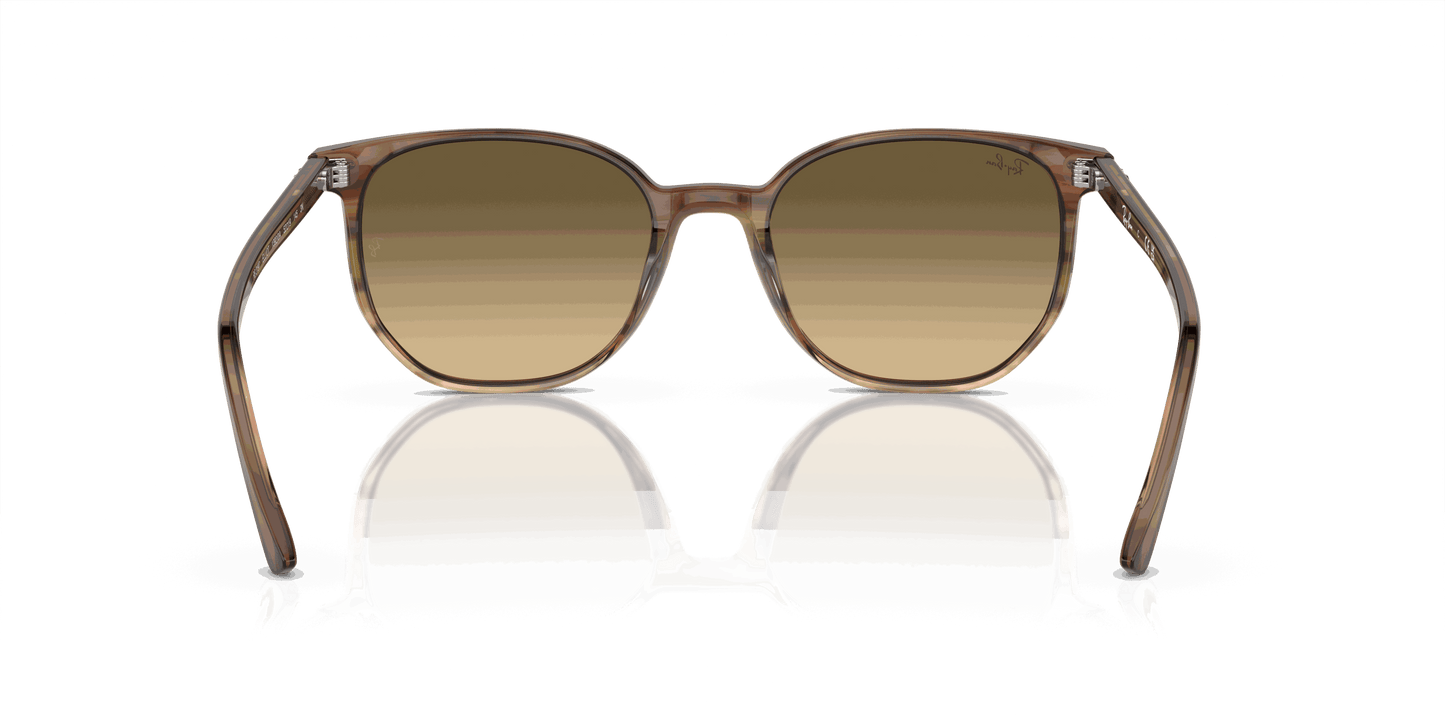 [Brown Black Lenses, Polished Striped Brown & Green Frame]
