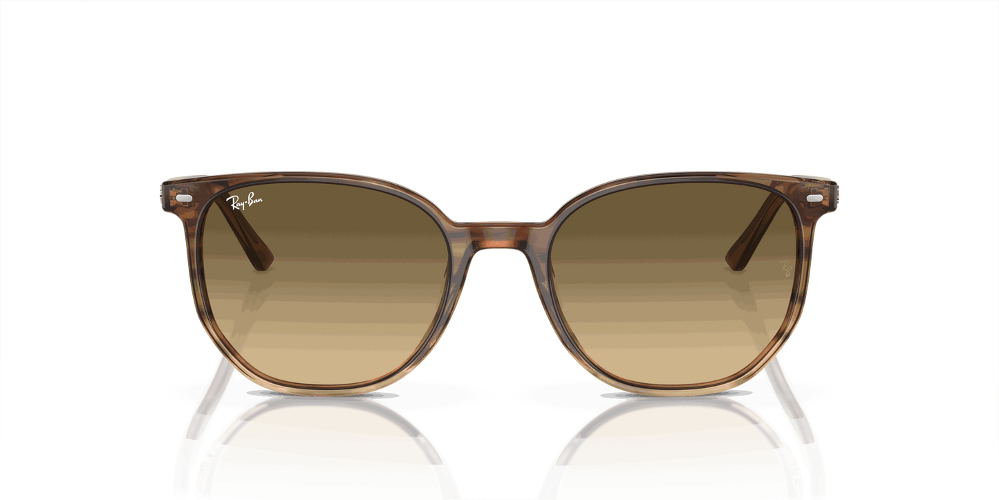 [Brown Black Lenses, Polished Striped Brown & Green Frame]