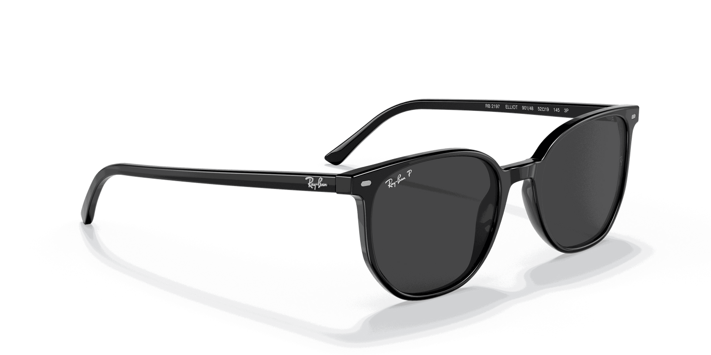 [Black Lenses, Polished Black Frame]