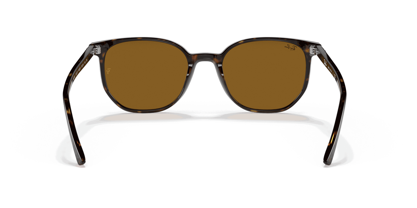 [Brown Lenses, Polished Havana Frame]