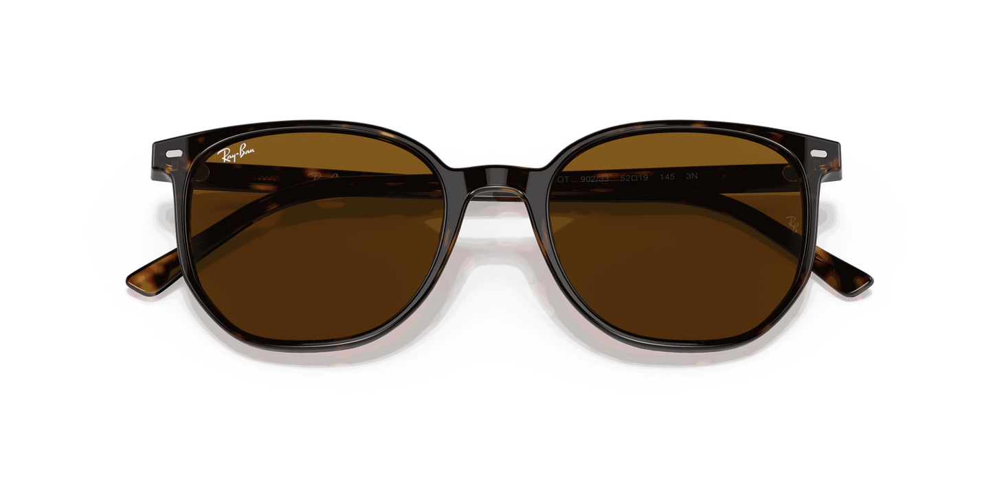 [Brown Lenses, Polished Havana Frame]