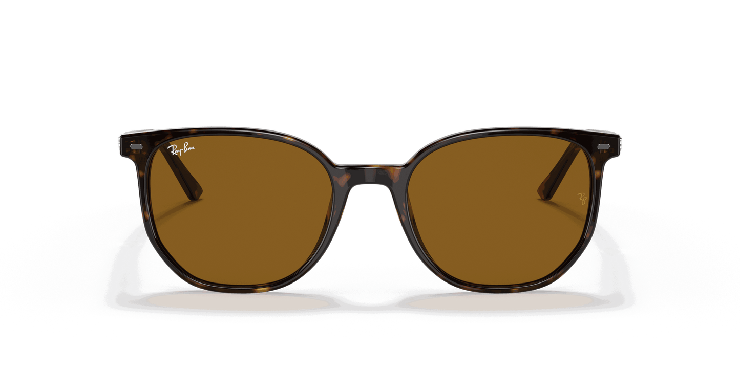 [Brown Lenses, Polished Havana Frame]