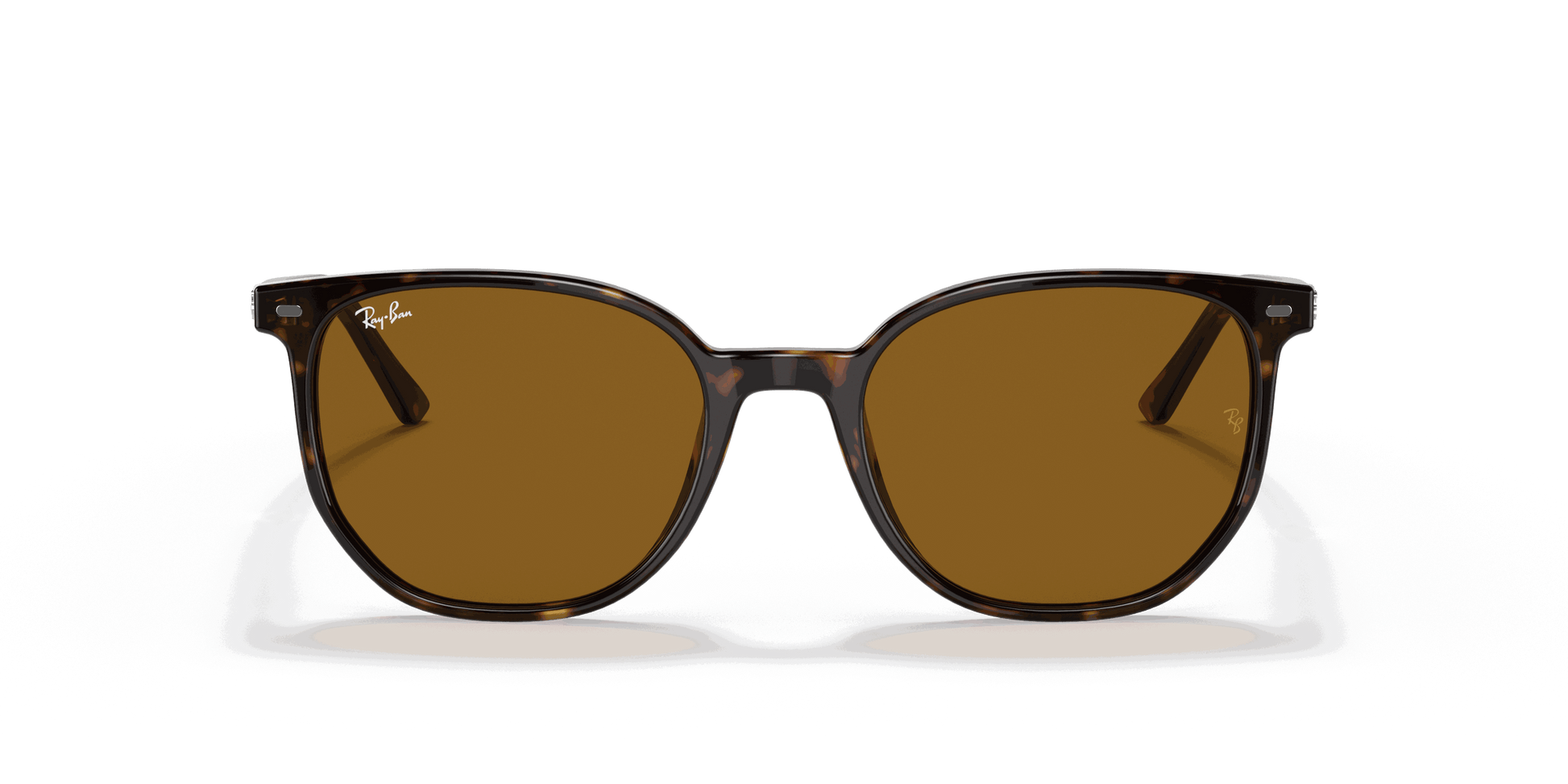 [Brown Lenses, Polished Havana Frame]