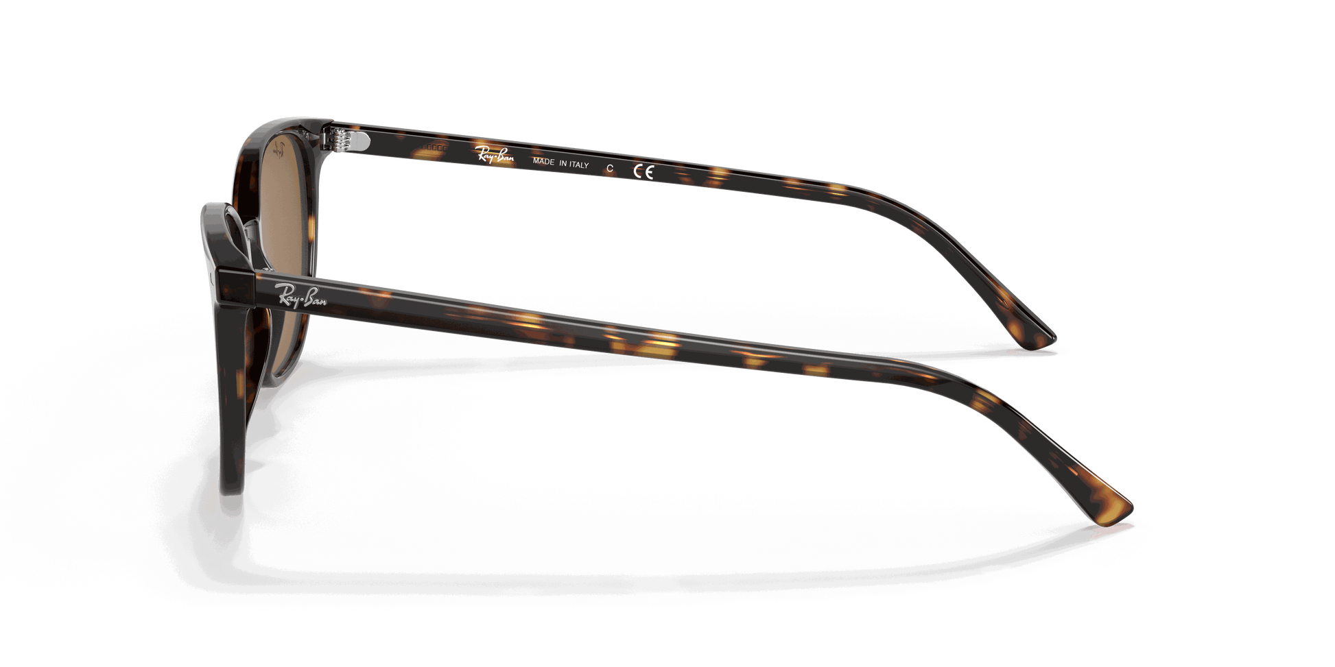 [Brown Lenses, Polished Havana Frame]