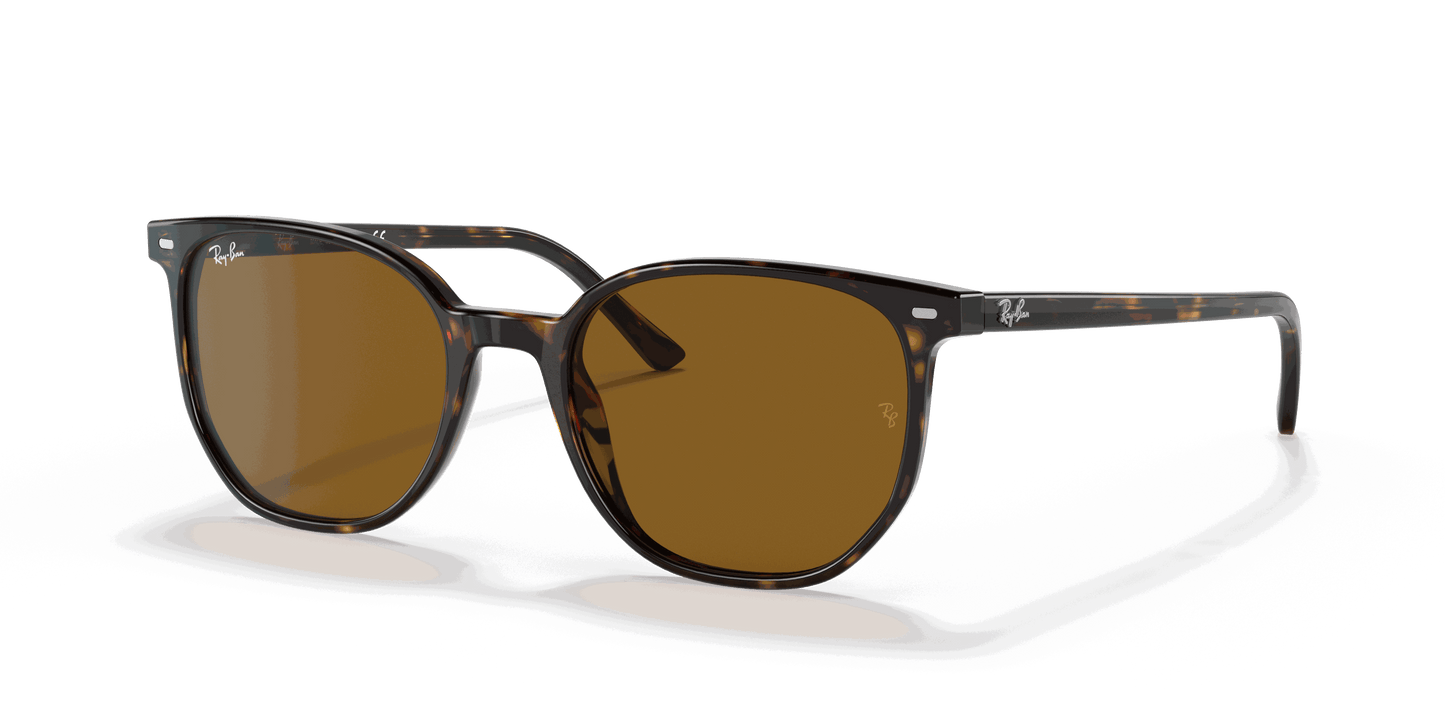 [Brown Lenses, Polished Havana Frame]