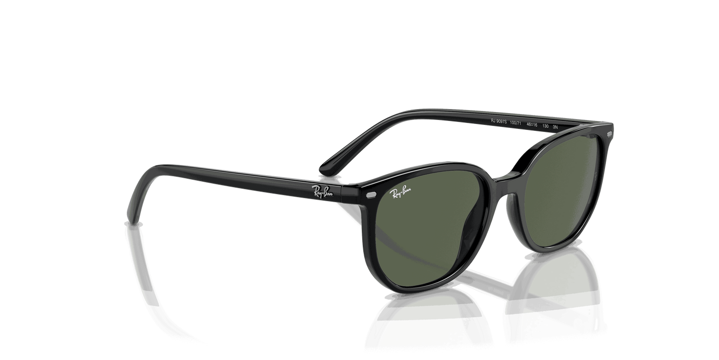 [Dark Green Lenses, Polished Black Frame]