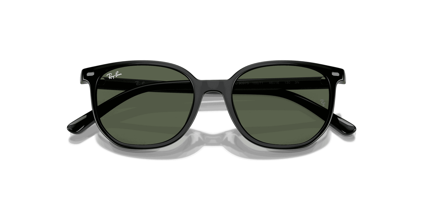 [Dark Green Lenses, Polished Black Frame]