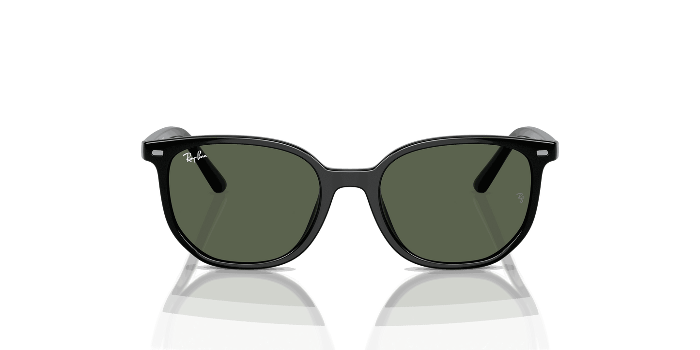 [Dark Green Lenses, Polished Black Frame]