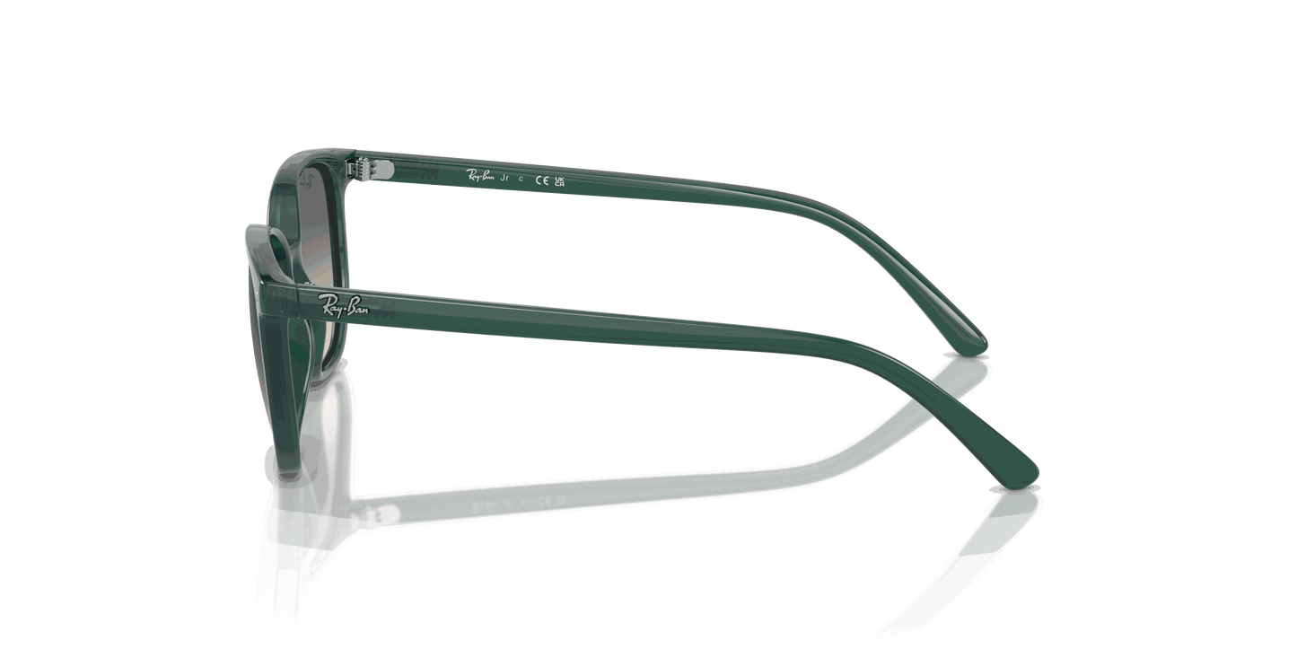 [Grey Lenses, Polished Opal Green Frame]