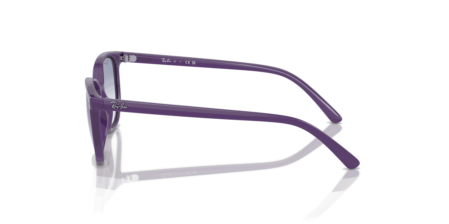 [Blue Lenses, Polished Opal Violet Frame]