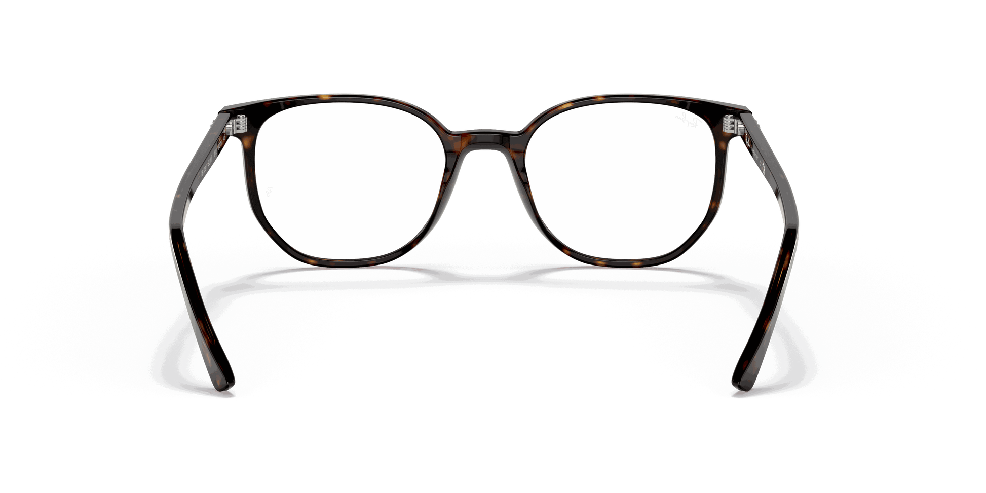 [Demo Lens Lenses, Polished Havana Frame]