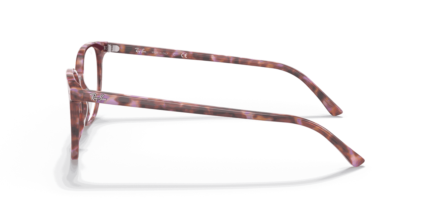 [Clear Lenses, Polished Brown & Violet Havana Frame]