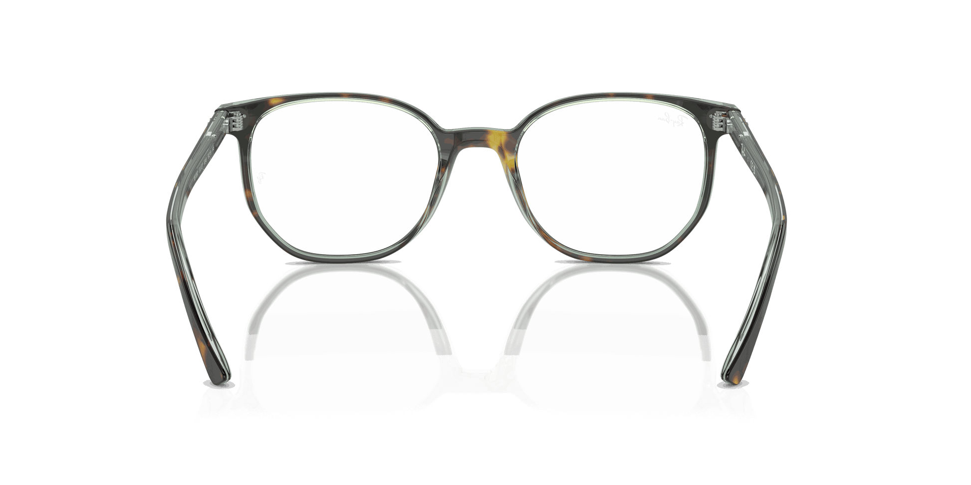 [Demo Lens Lenses, Polished Havana On Transparent Green Frame]