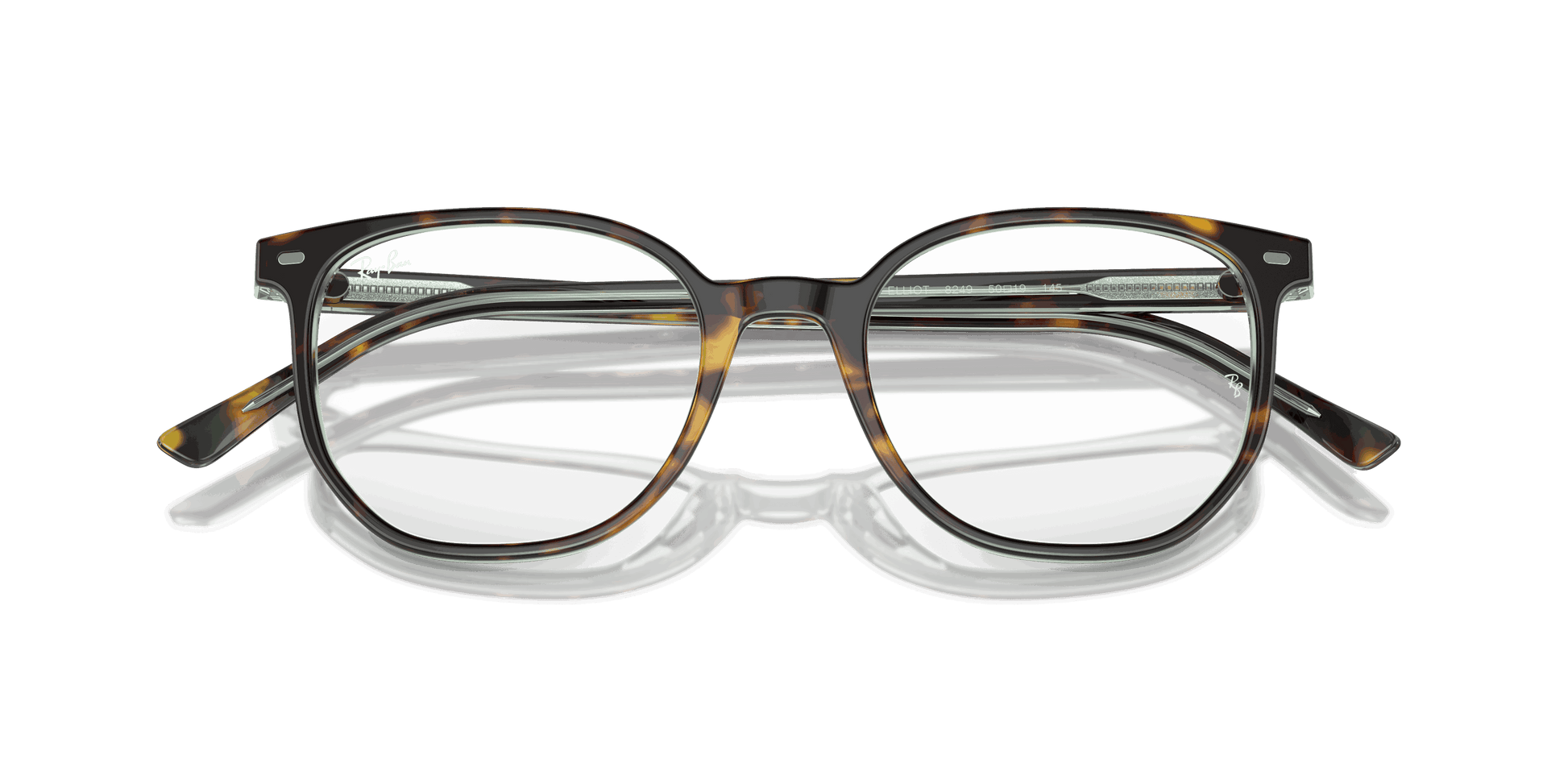 [Demo Lens Lenses, Polished Havana On Transparent Green Frame]